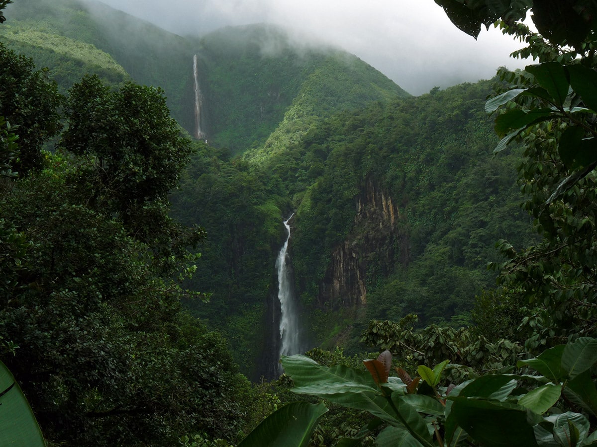 Guadeloupe Island Private Investigator / Guadeloupe Island Private Investigations / Executive Protection Private Security Services Guadeloupe / TSCM DeBugging Bug Detection Sweeps Guadeloupe Islands