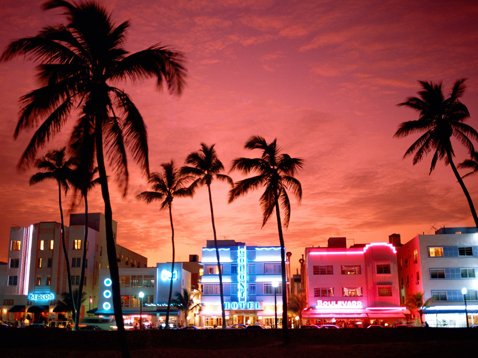 Miami Florida Infidelity