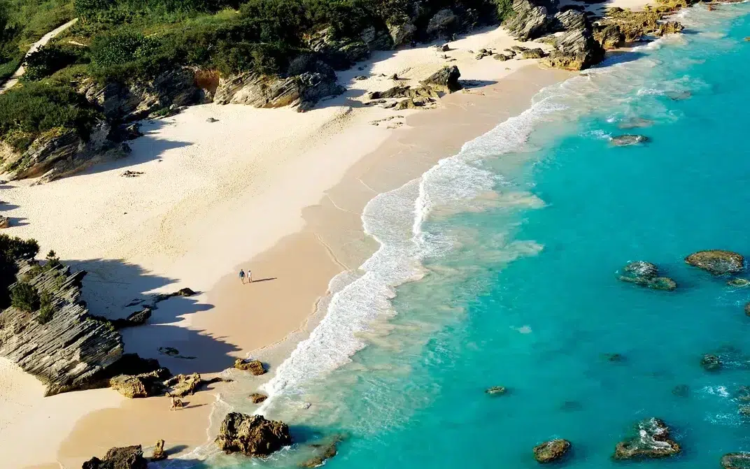 Private Investigator Bermuda Islands / Private Investigations Bermuda Islands / Private Security Executive Protections Bermuda Islands / TSCM Debugging Bug Detection Sweeps Bermuda Islands