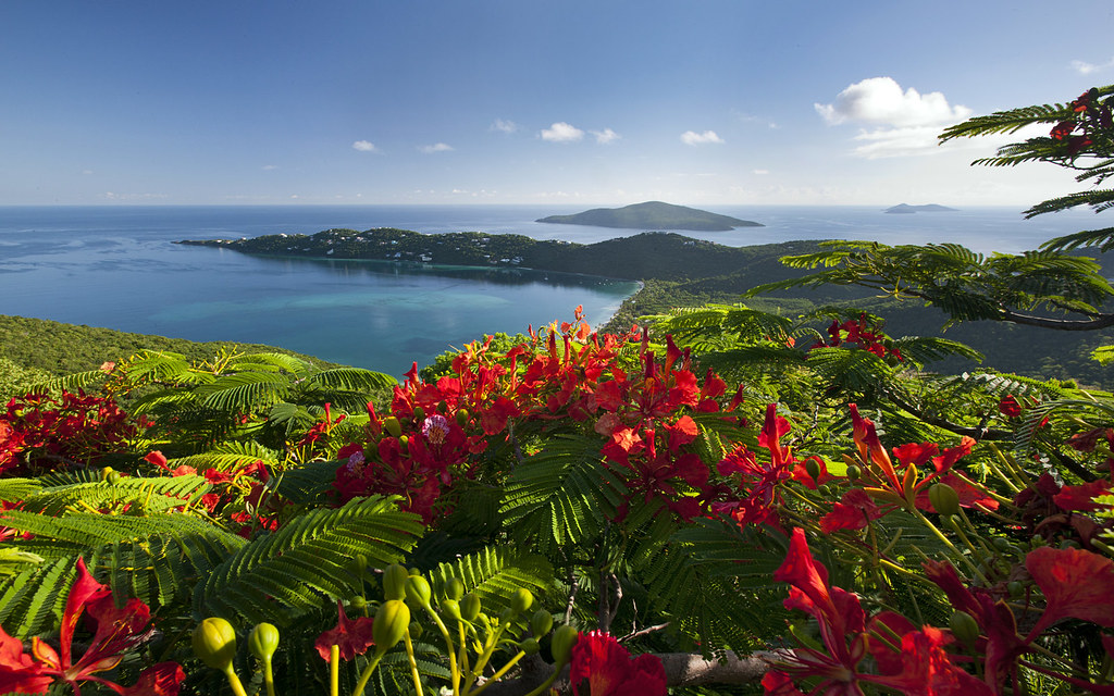 Saint Thomas U.S. Virgin Islands USVI Private Investigator / USVI Private Investigations / Saint Thomas USVI Private Security / Child Custody Marital Spousal Investigations/ TSCM DeBugging Bug Sweeps USVI