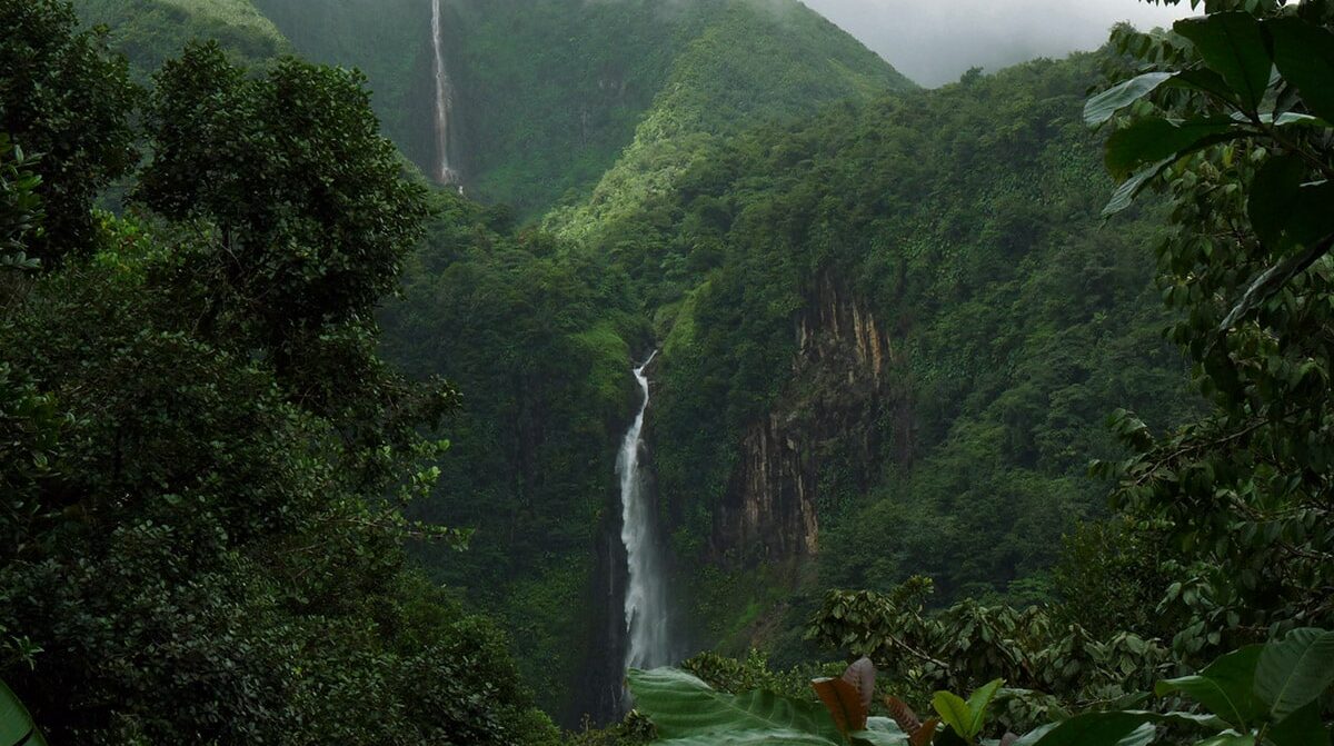 Guadeloupe Island Private Investigator / Guadeloupe Island Private Investigations / Executive Protection Private Security Services Guadeloupe / TSCM DeBugging Bug Detection Sweeps Guadeloupe Islands