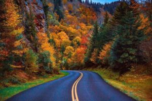 Private Investigators Cherokee North Carolina / Private Investigations Cherokee North Carolina / Spousal Investigations NCPI / Child Custody Marital Domestic Relationships Investigations Cherokee NC