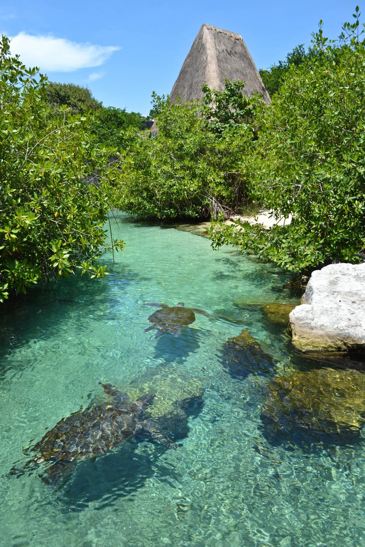 Riviera Maya Mexico Private Investigator - Quintana Roo Mexico Private Investigations - Riviera Maya Mexico Private Protection Security Services-TSCM DeBugging Bug Sweeps Puerto Morelos