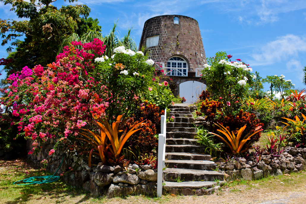 Coastal landscape in Nevis, Saint Kitts and Nevis