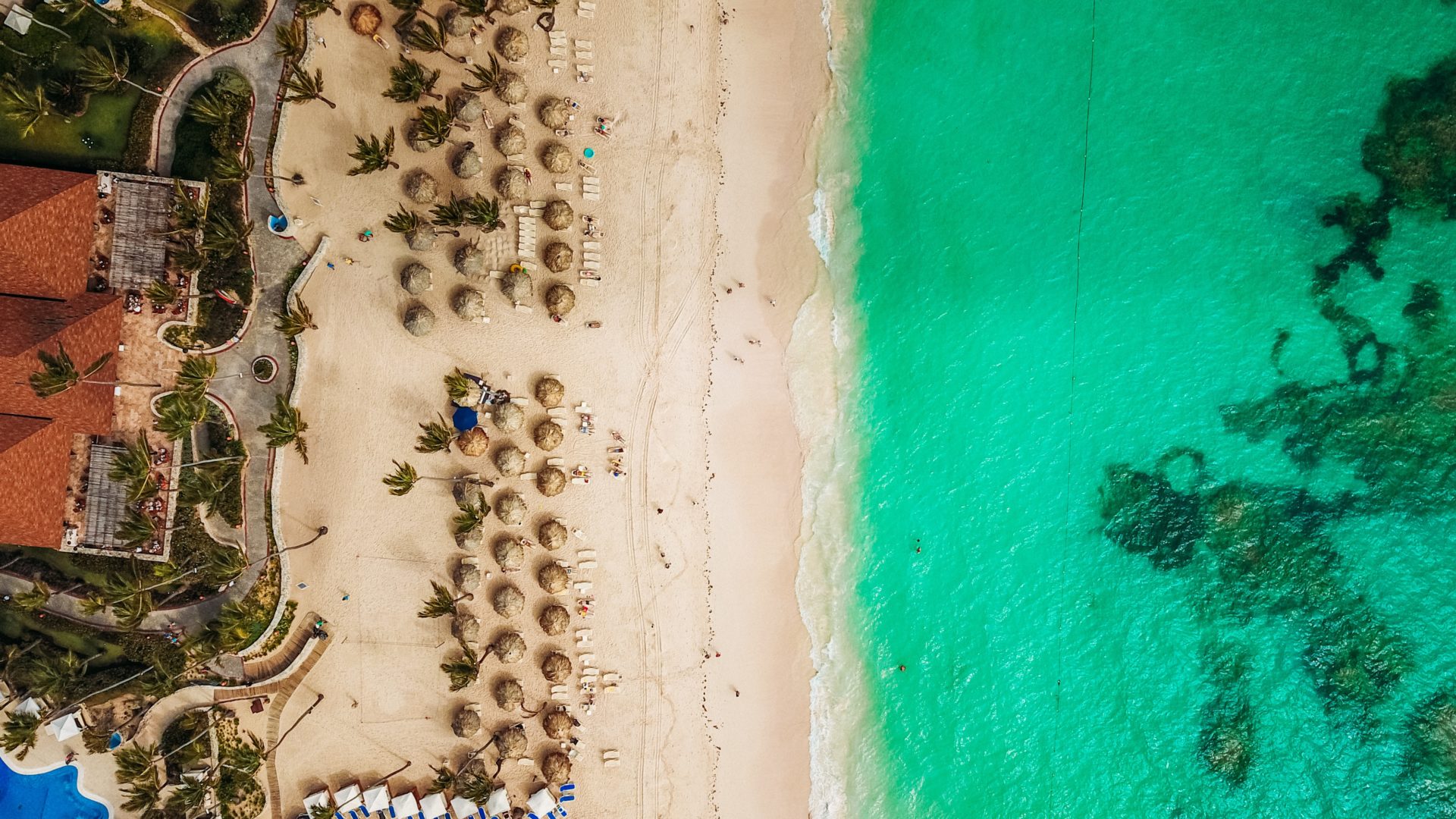 Dominican Republic Private Investigator Private Security Services TSCM DeBugging Bug Sweeps Child Custody Marital Spousal Investigations