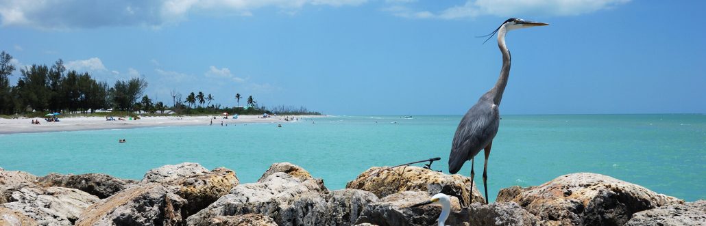 Captiva Island coastal scenery