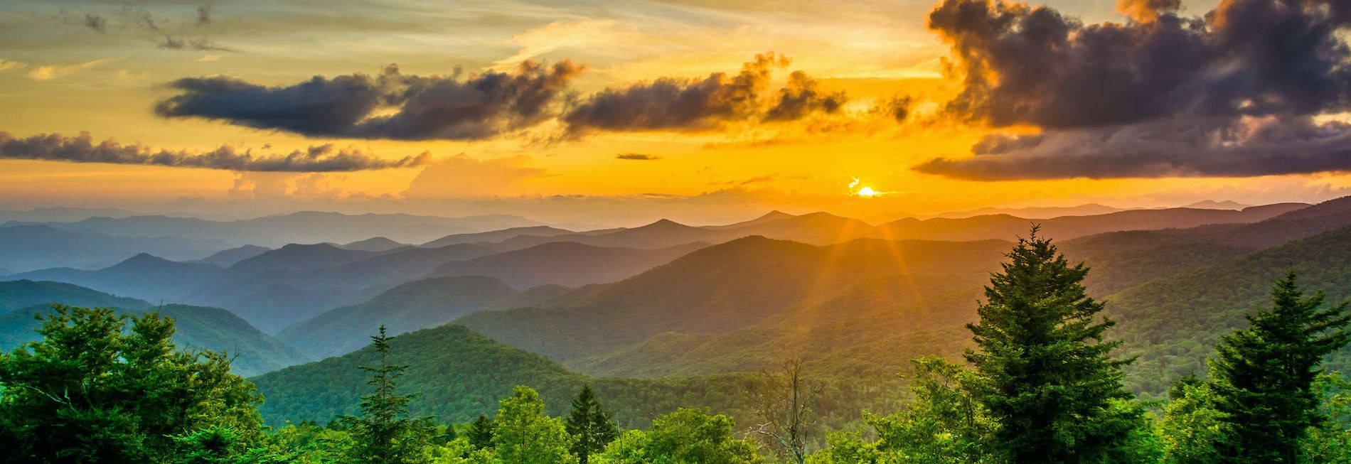 Mars Hill North Carolina Private Investigator Private Security Protection Services Child Custody Marital Spousal Private Investigations NC