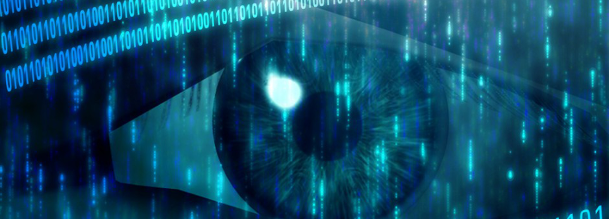 TSCM Debugging Bug Detection Sweeps Investigations Services / Surveillance Detection / Countermeasures / RF Bug Sweeps / Counter Surveillance Detection Services / Florida / Caribbean Islands