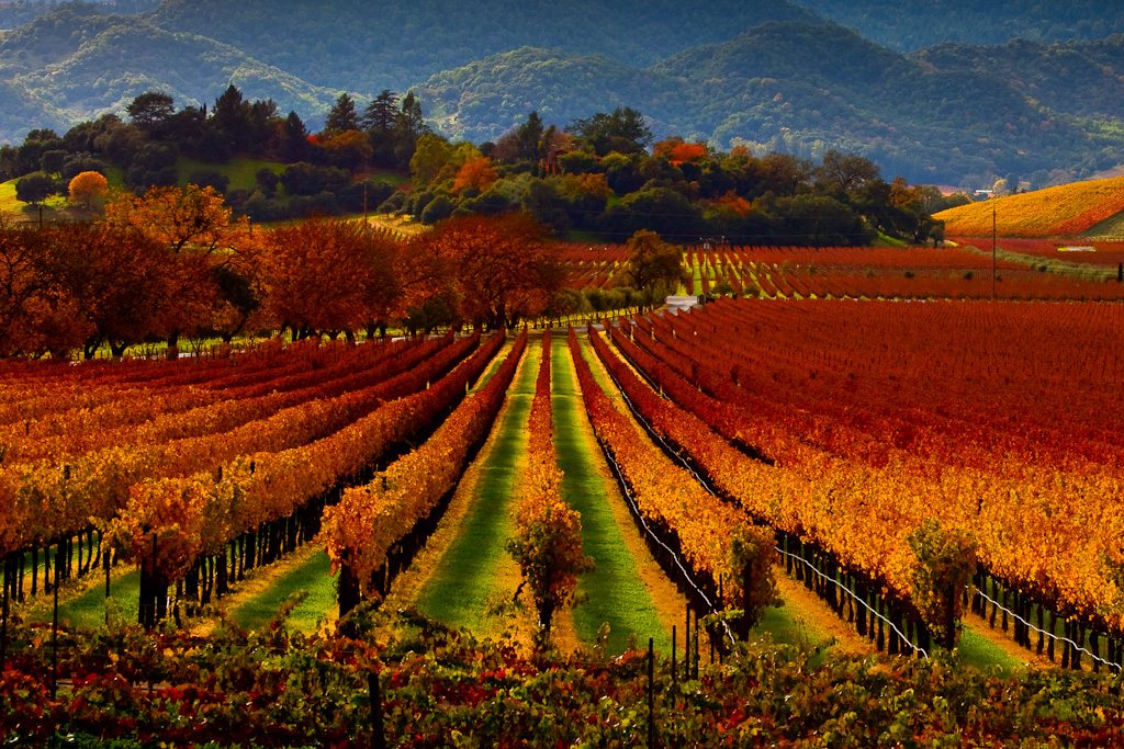 TSCM Bug Detection Sweeps Napa Valley California Investigators