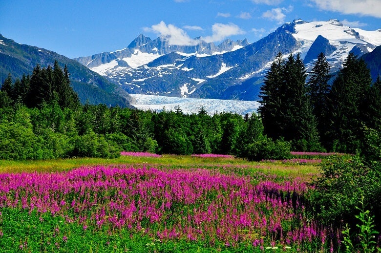 TSCM Bug Detection Sweeps Alaska