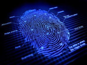 Criminal Private Investigators Evidence Collection Documentation