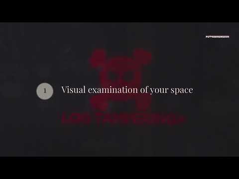 Caribbean Islands TSCM video preview