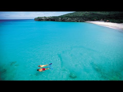 Preview of the original JRS Curaçao investigation video