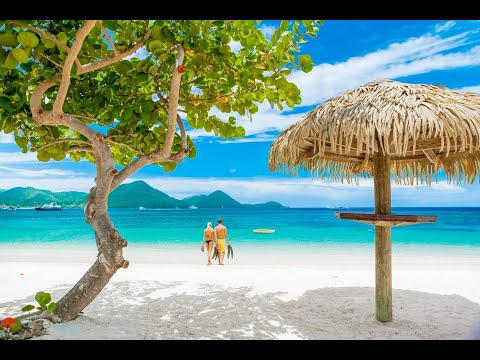 Preview of the original JRS Saint Lucia investigation video